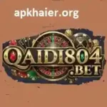 Qaidi804 Game